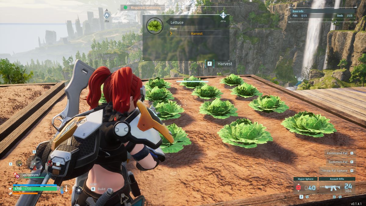 Doing Lettuce Plantations