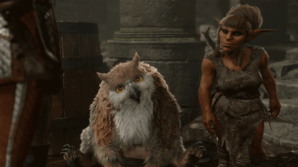 Owlbear Cub with Krolla