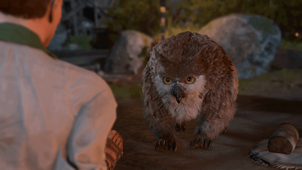 Owlbear Cub visits you during your next long rest