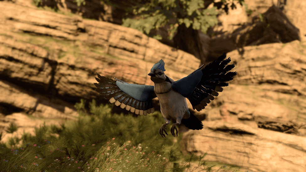 Blue Jay in bg3